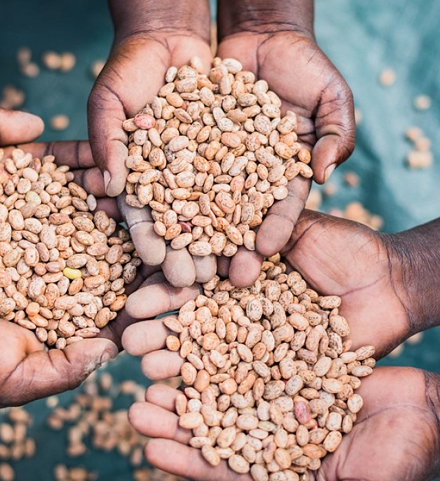 petcare-food-mars-wrigley-and-edge-brands-mars-canada